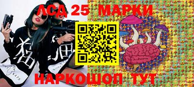 ГАЛЛЮЦИНОГЕННЫЕ ГРИБЫ Вышний Волочёк