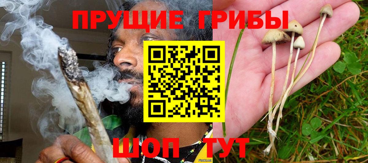 Псилоцибиновые грибы MAGIC MUSHROOMS  Псилоцибиновые грибы прущие грибы  Вход с VPN  Дзержинский 